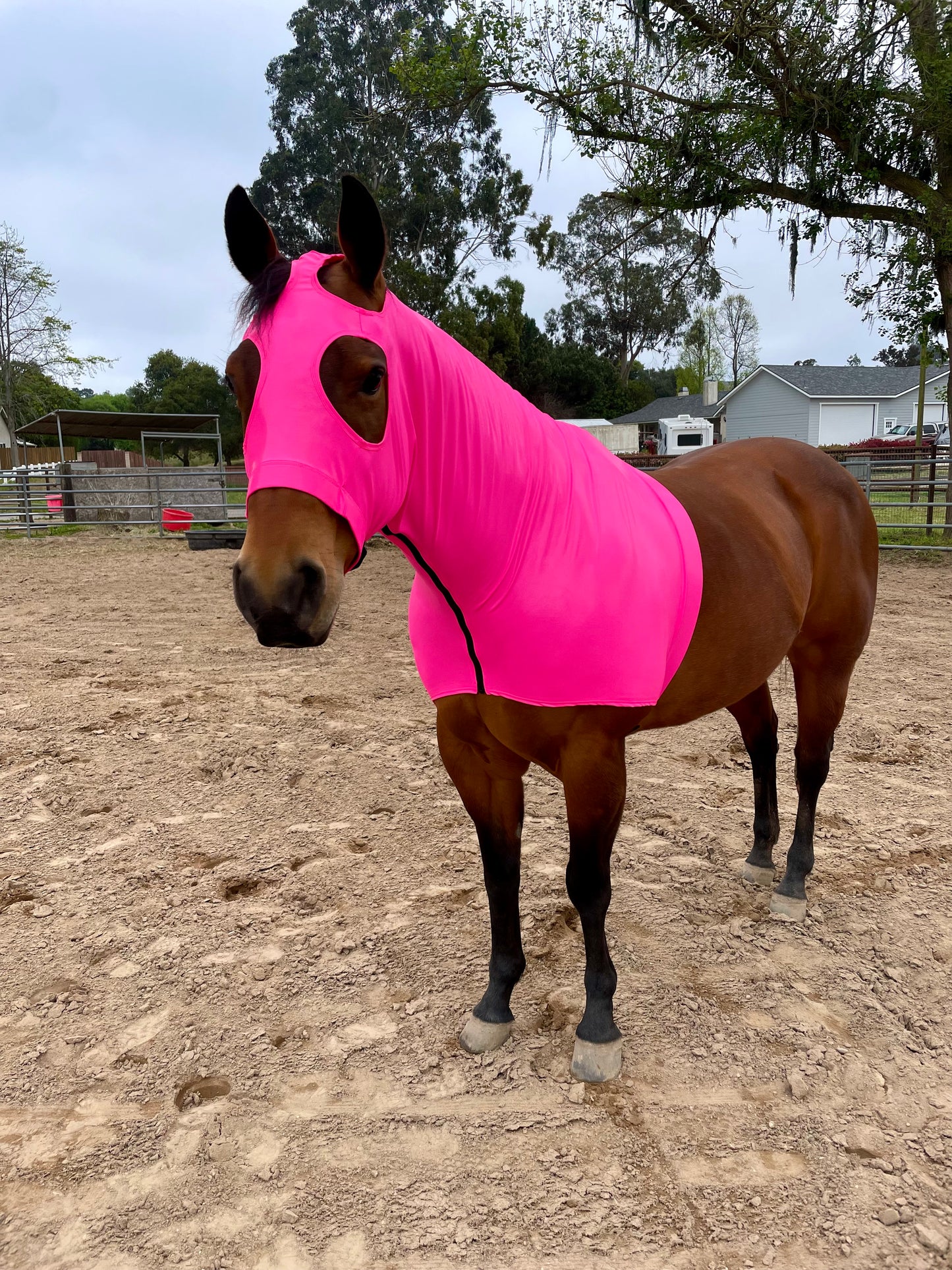 Metallic Hot Pink Classic Sleazy Hood