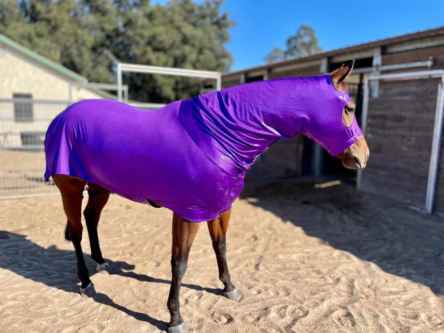 Metallic Purple Full Body Sleazy