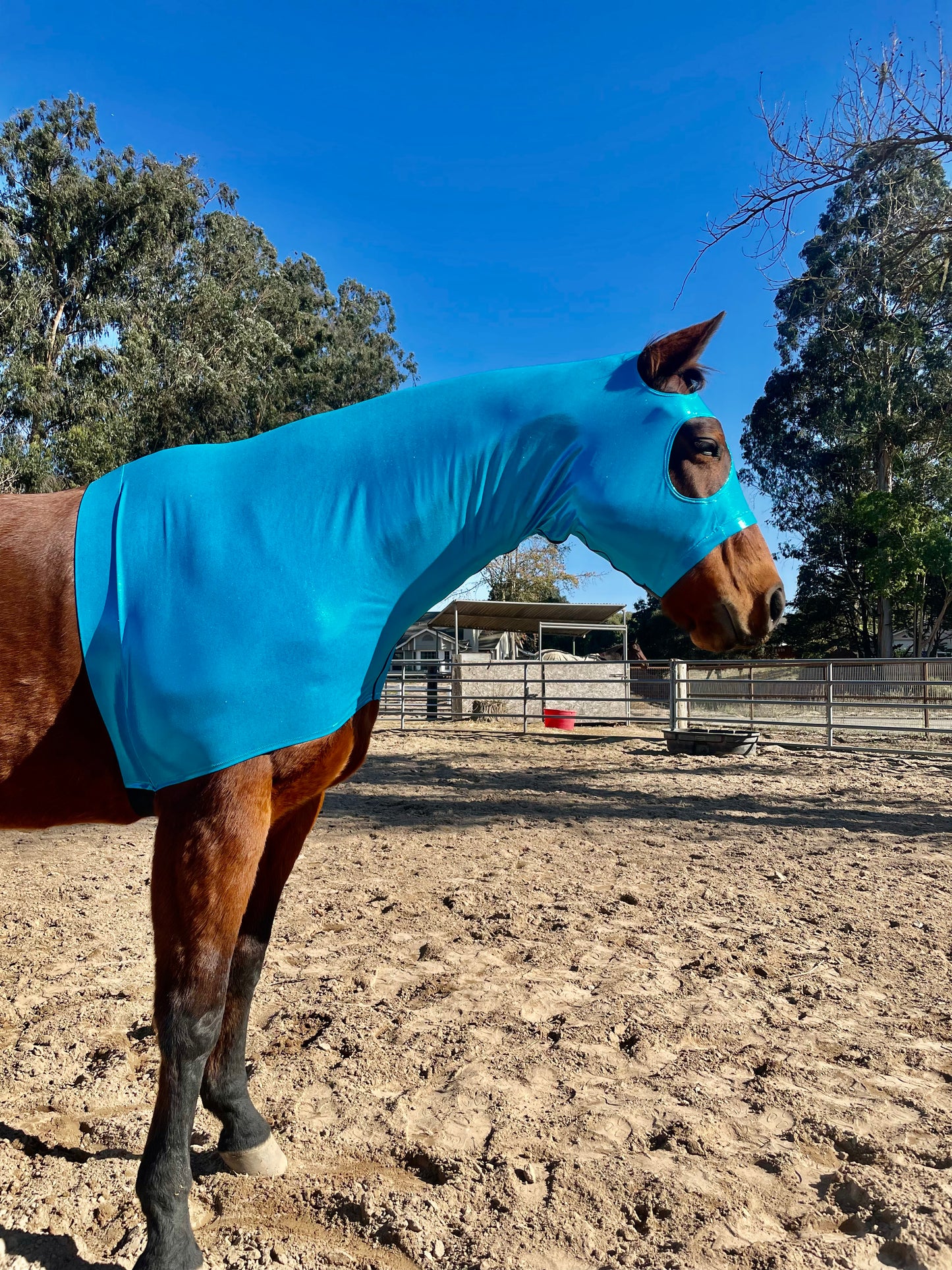 Metallic Turquoise Classic Sleazy Hood