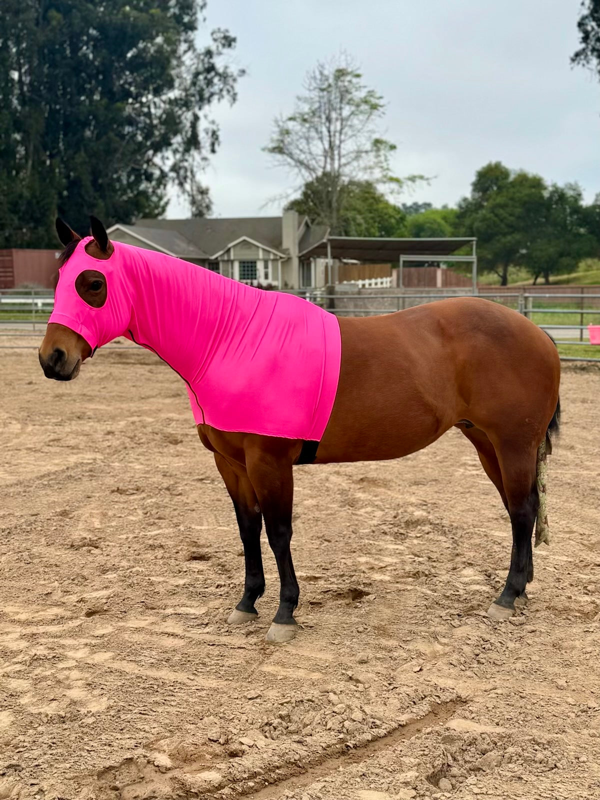 Metallic Hot Pink Classic Sleazy Hood