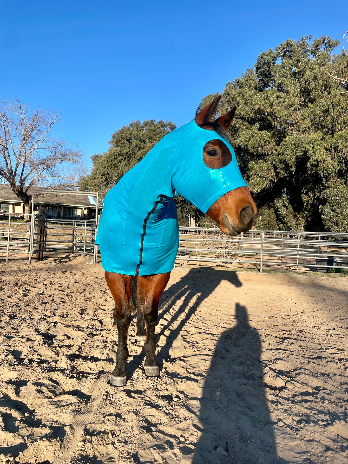 Metallic Turquoise Full Body Sleazy