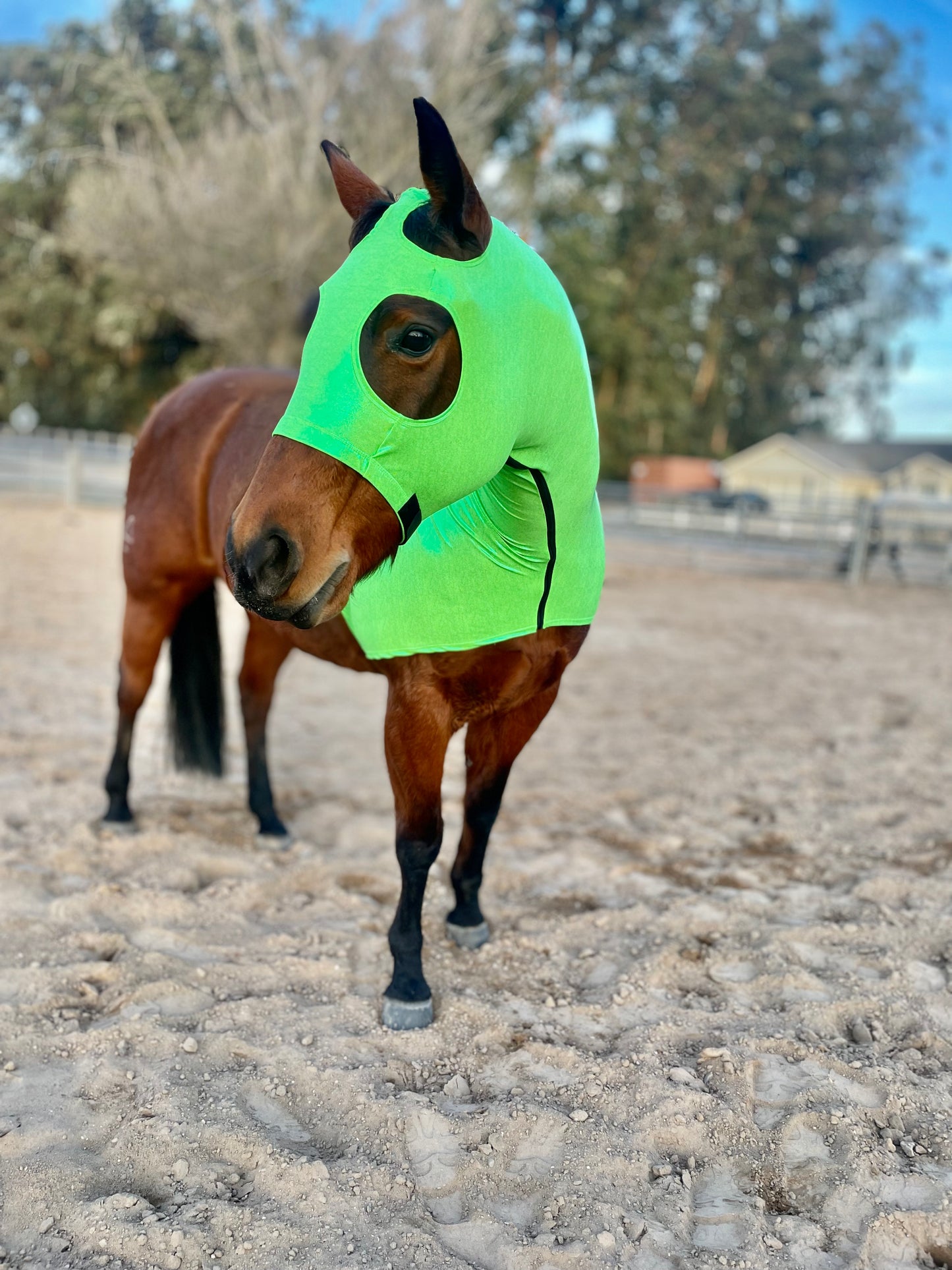 Metallic Lime Green Classic Sleazy Hood