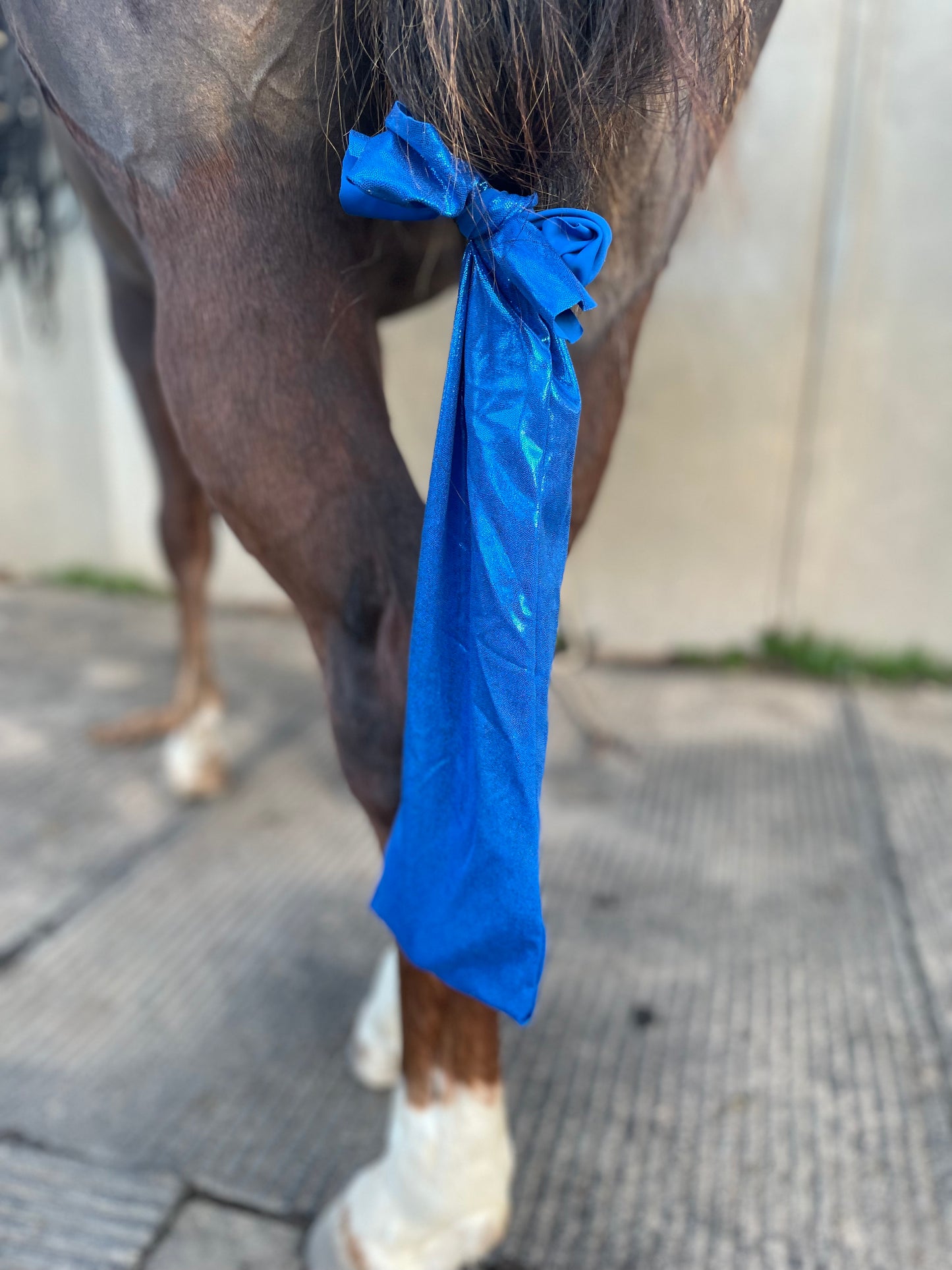 Metallic Royal Blue Tailbag