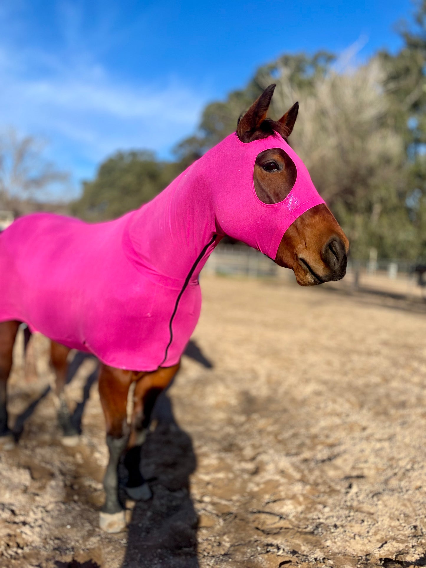 Metallic Hot Pink Full Body Sleazy