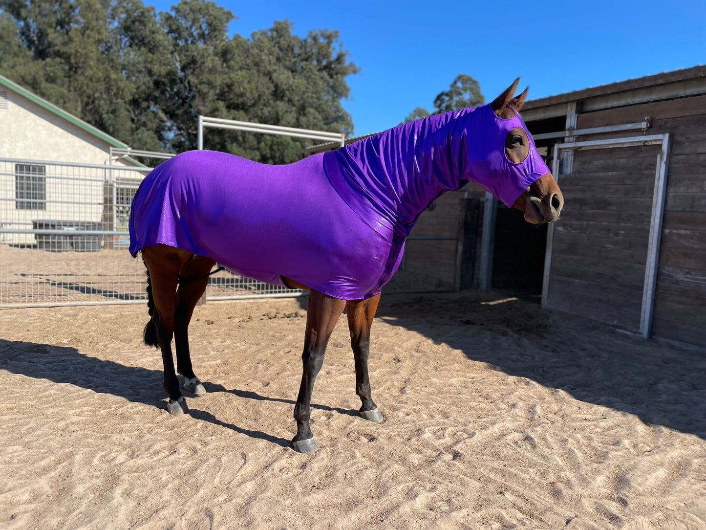 Metallic Purple Full Body Sleazy