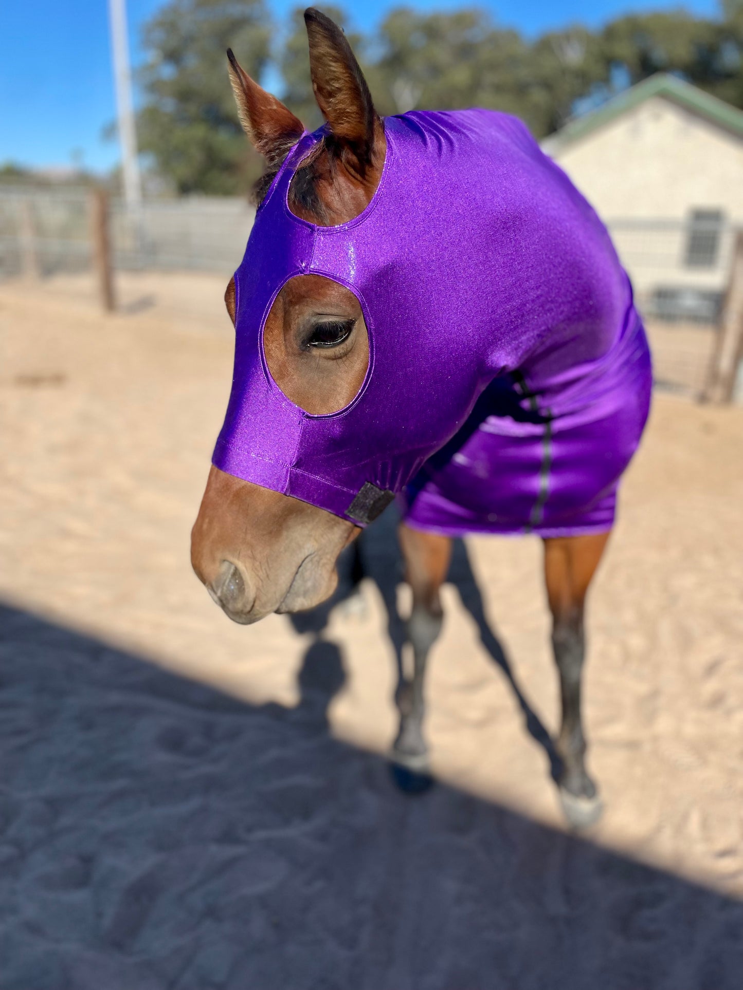 Metallic Purple Full Body Sleazy