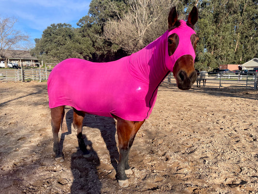 Metallic Hot Pink Full Body Sleazy