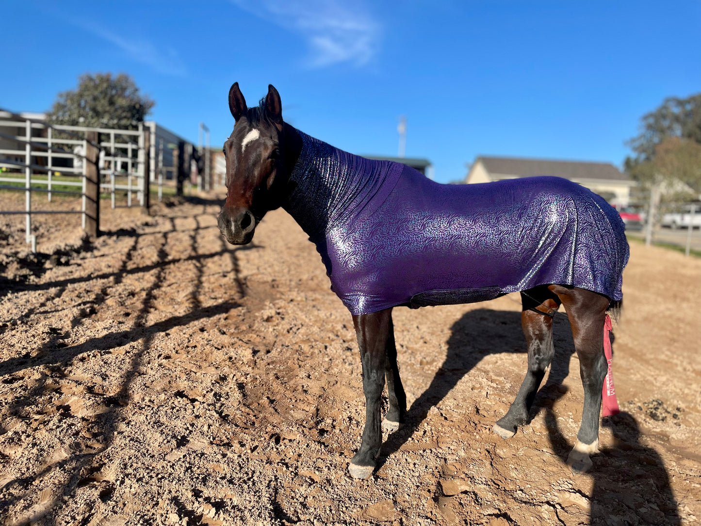 Purple Leopard Faceless Full Body Sleazy