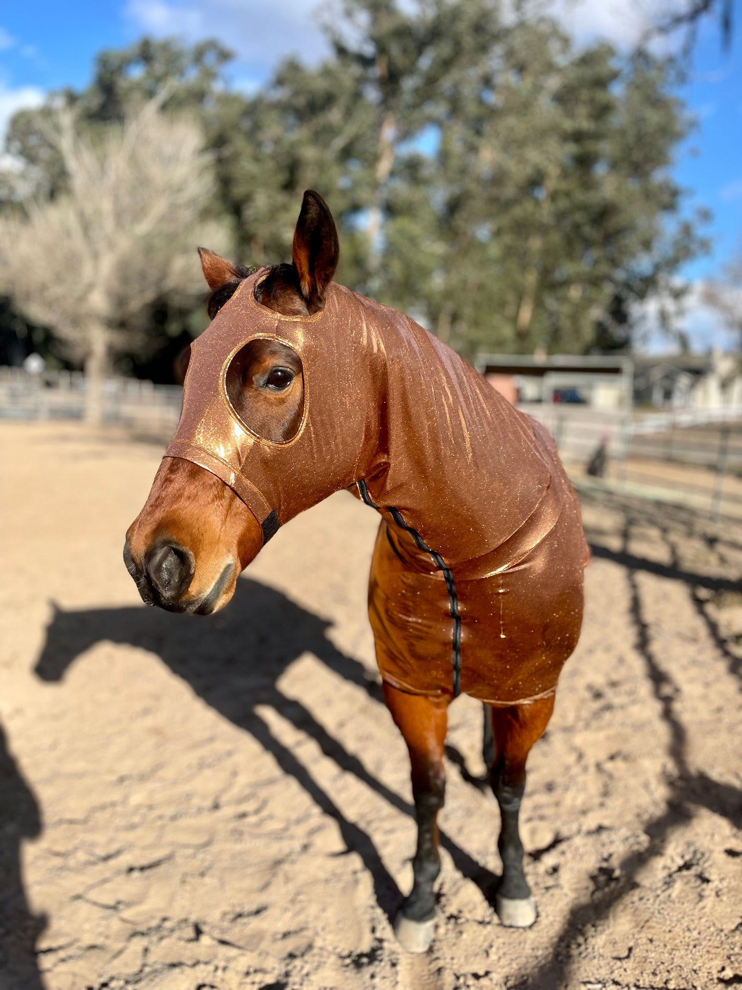 Metallic Copper Full Body Sleazy